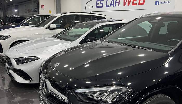 F.S. CAR WEB