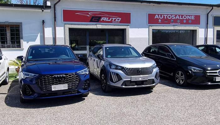 B-AUTOGROUP S.R.L.S.