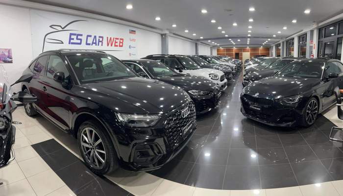 F.S. CAR WEB