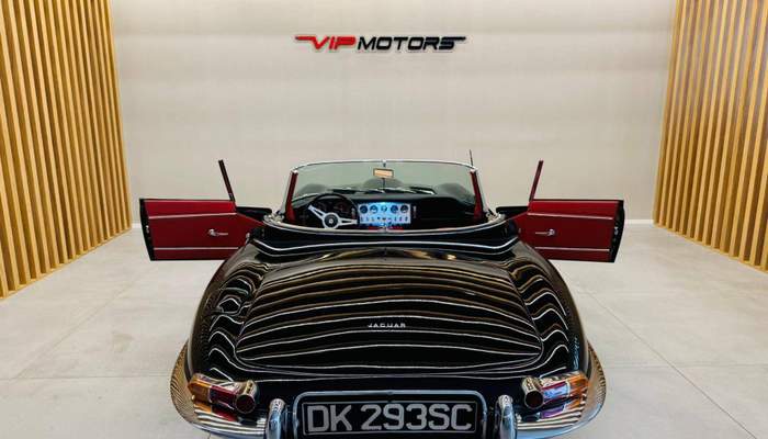 VIP MOTORS MULTIBRAND
