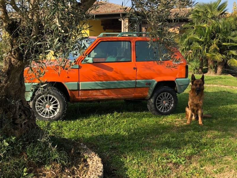 Fiat Panda