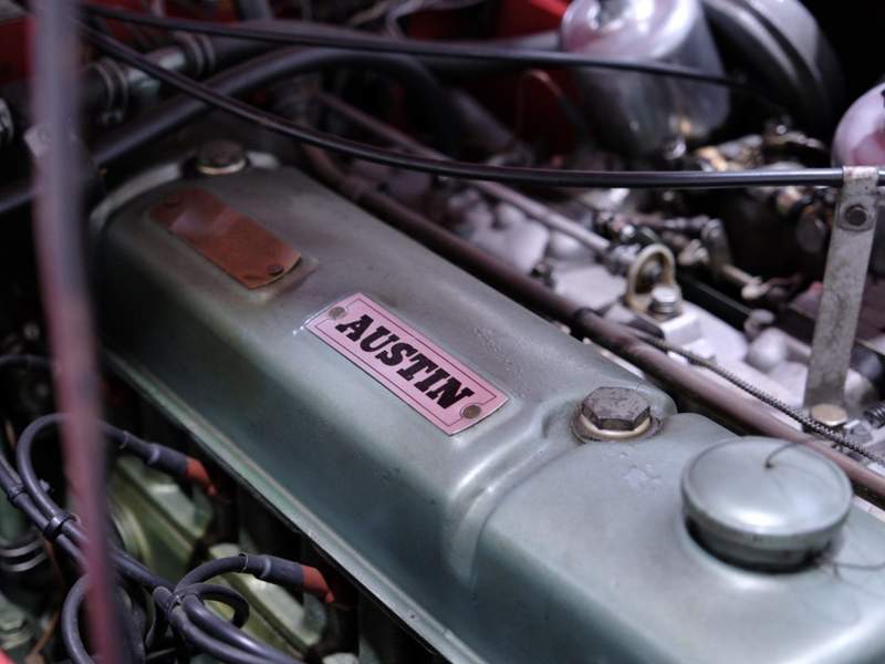 Austin Healey