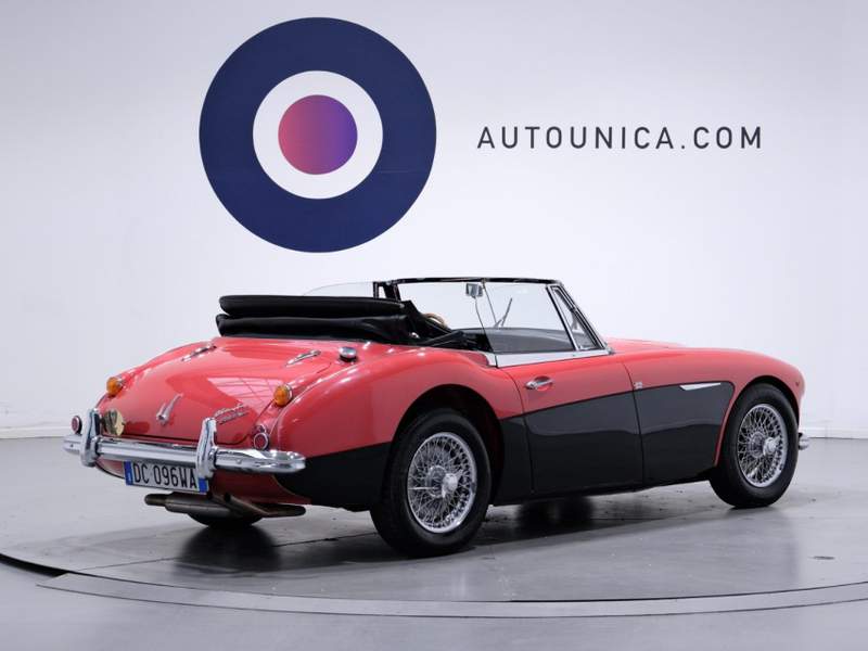 Austin Healey