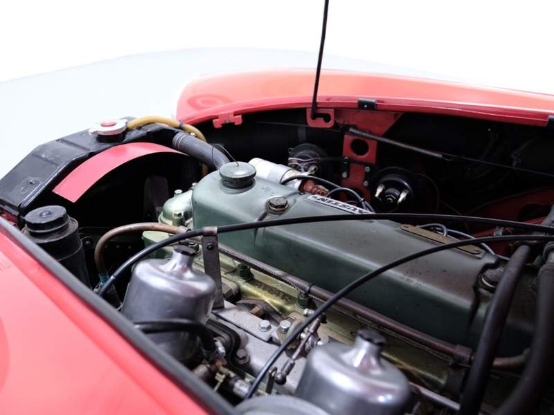 Austin Healey