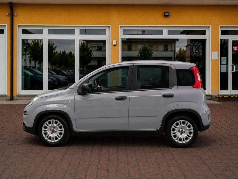 Fiat Pandina