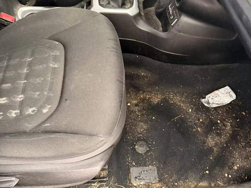 Sanificazione profonda per la tua sicurezza a bordo