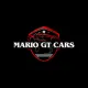 MARIO GT CARS