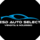 ESD AUTO SELECT
