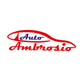 AUTOAMBROSIO S.R.L.