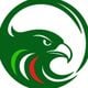 Falkomedia srl