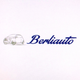 BERLIAUTO SRL