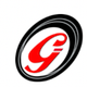 GARAGE INTERNATIONAL SRL