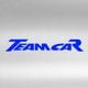 TEAM CAR SRL