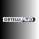 ORTELLI AUTO SRL