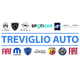 TREVIGLIO AUTO SRL