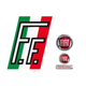 FF AUTO SRL